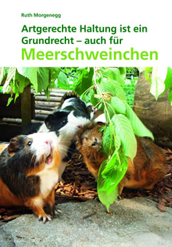 Cover Buch Artgerechte Haltung - ein Grundrecht auch für Meerschweinchen